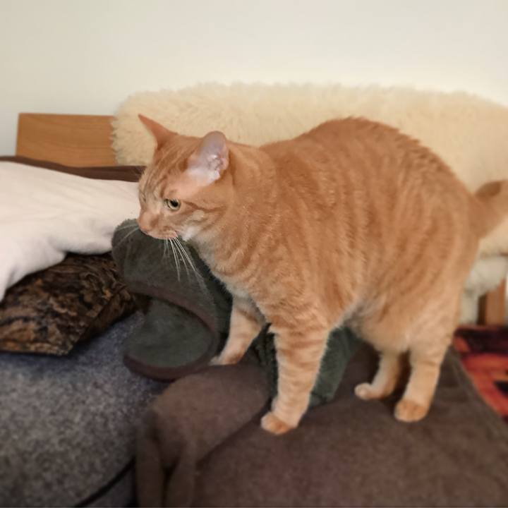 F95e4461 9a30 414c 8893 794ec7a61c83 1620669533450