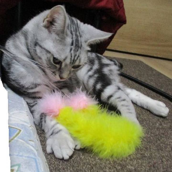 F95e522c 13ee 41e1 9bd1 fcfed5532ab3 1558264637039