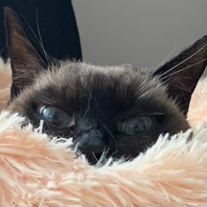 F95e6212 f0b9 4a31 a86b da3161b46ed1 1612568044428