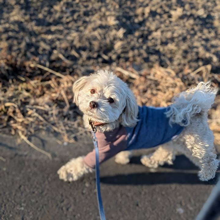 F95e7795 b0a5 4fa8 91b6 d9f65d243e89 1770210851182