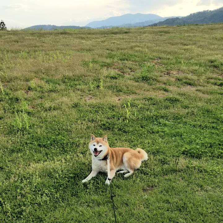 F95e919b bd78 4d58 855e 5338f772fcd5 1621067126009