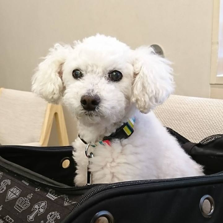 F95e9a8a d01a 484d 96fb ad2199058a4a 1589865431971