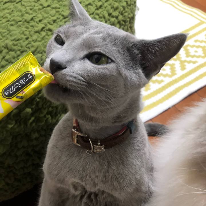 F95ea57f 6438 4431 b823 5d5c13f0ec4d 1545776611295