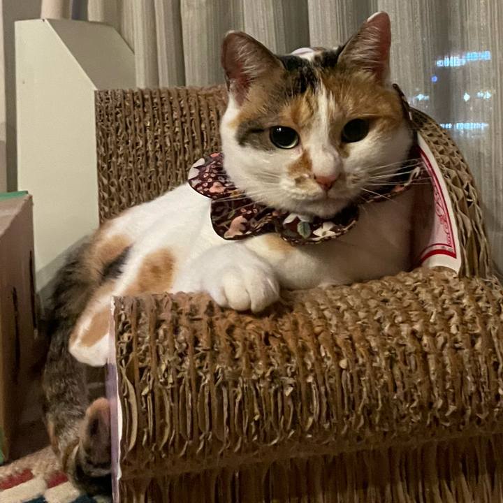 F95ee206 dff1 4a81 add6 1d30a00d9d33 1756473959754