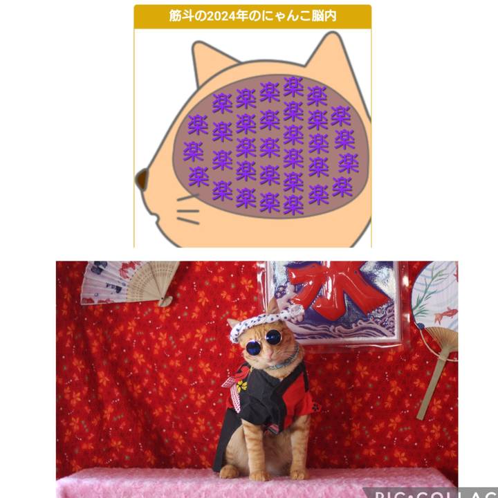 F95f0827 5f0d 4f87 b3bf b1d2437bd273 1721888282023