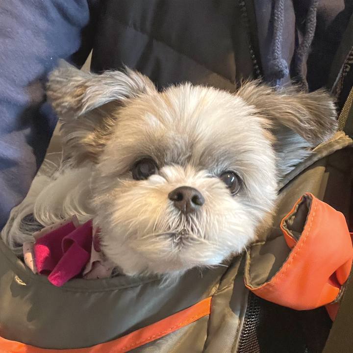 F95f2551 80a6 4e66 a784 fd4beba7af64 1669446783689