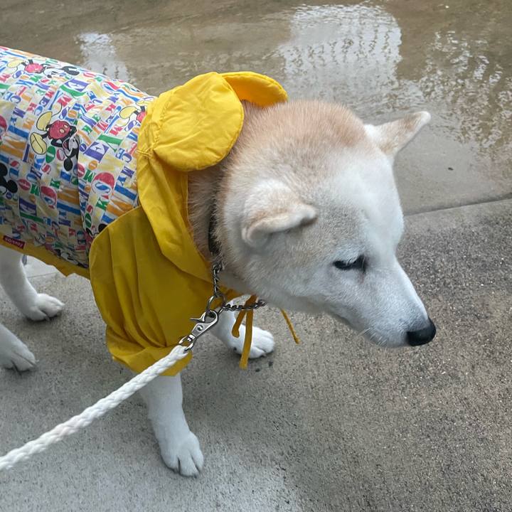 F95f3415 65ac 4887 82fe fad2e391c0cd 1670961360261