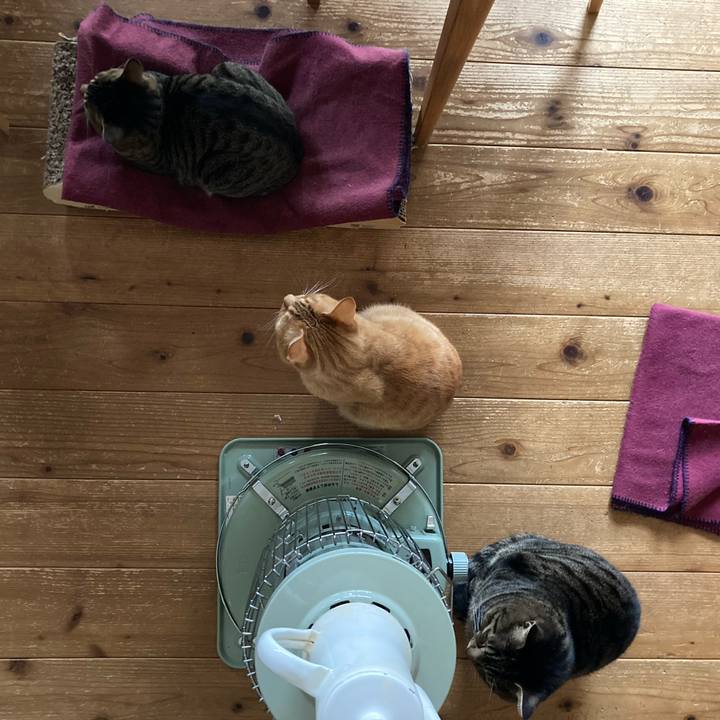 F95f3e4e 35a7 4313 9966 c69d2e2a35da 1711148692768