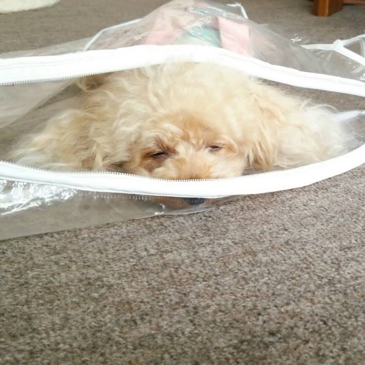 F95f444f 7da7 4103 83b2 b5ac44326e58 1538470286162