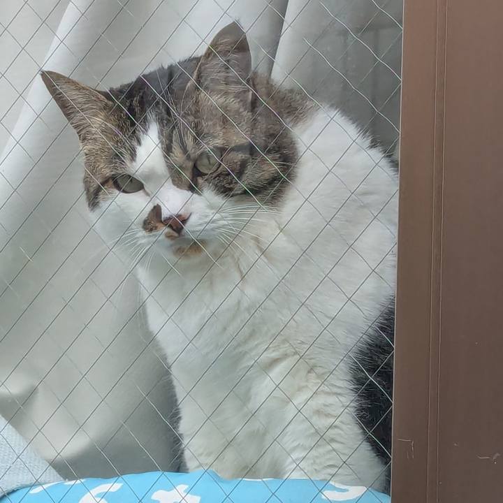 F95f498c 866b 4648 aa7e be92e271159c 1748046864547