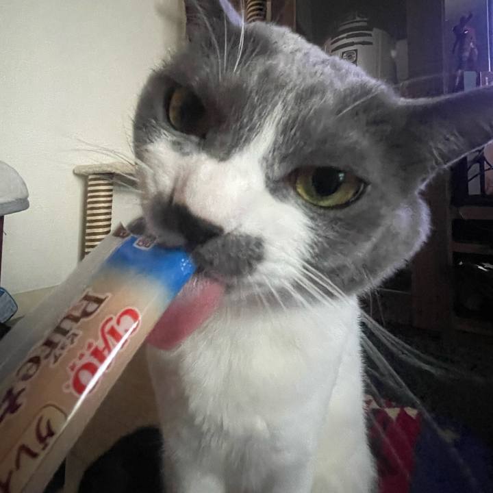 F95f5387 6df1 4c87 89f5 b231d5f656b7 1668581431503