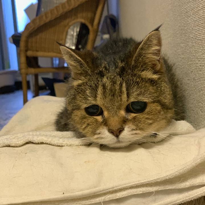 F95f5bf4 1e3d 43c1 ae29 c267bc8dcc43 1558951681989