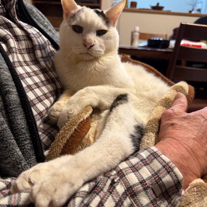 F95f7edc f02a 4be2 9022 49730b7dab46 1768736166547