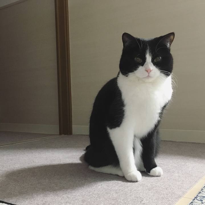 F95f96b4 a602 4e9e 826a 312f28309195 1582324331691