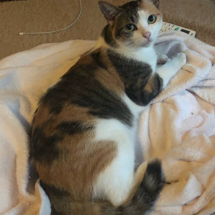 F95fb23a a061 4908 b260 d1198cf5139b 1597435671317