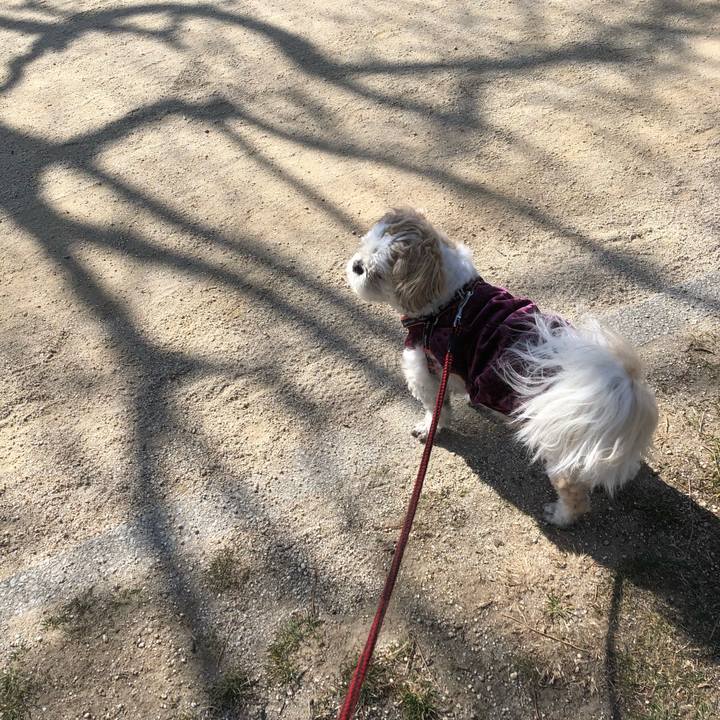 F95fb49d 436e 4d06 a7da c6548cf09935 1614548849989