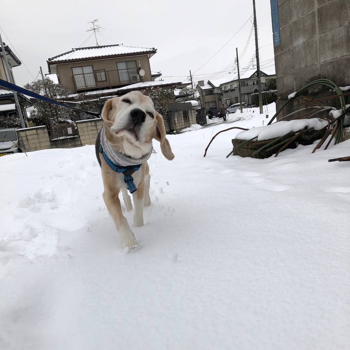 F9600865 4c88 4c70 98c1 5965f7869ce2 1610890742594