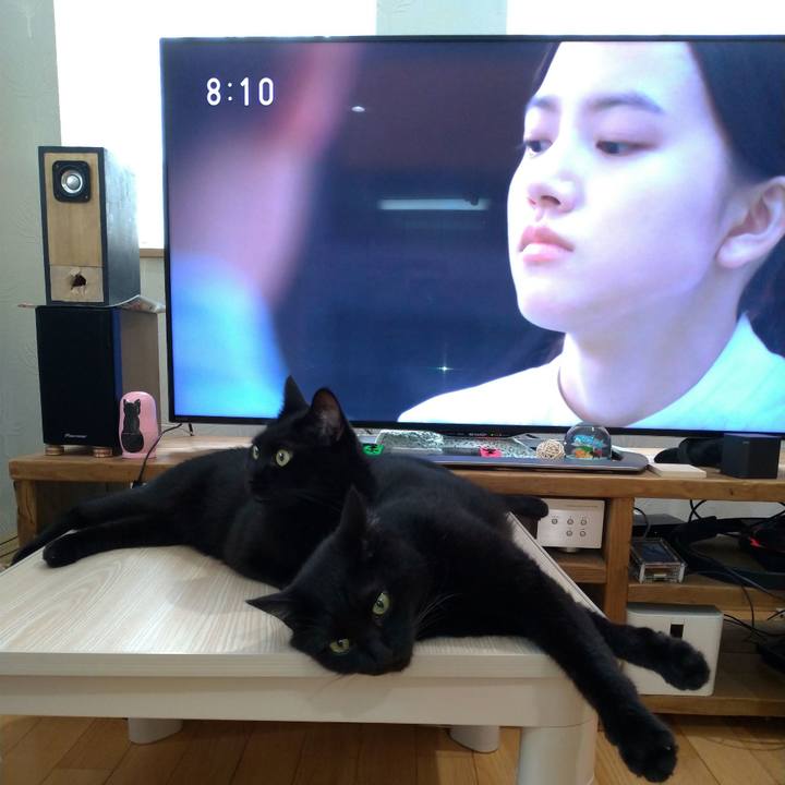 F9602bb3 cf29 47d7 89e7 037d4676a189 1627624356603