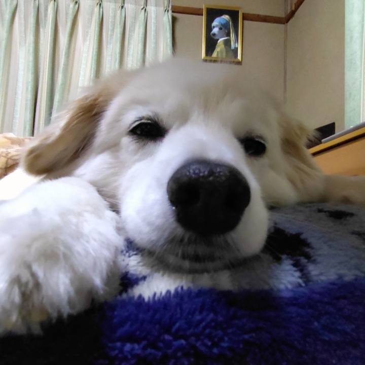 F960b319 90cf 4aef 8164 d700b1329b35 1650038781797