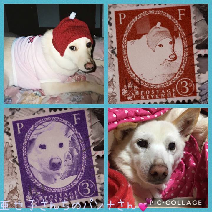 F9610ad6 b60e 43dc a906 c072627c898c 1570378576262