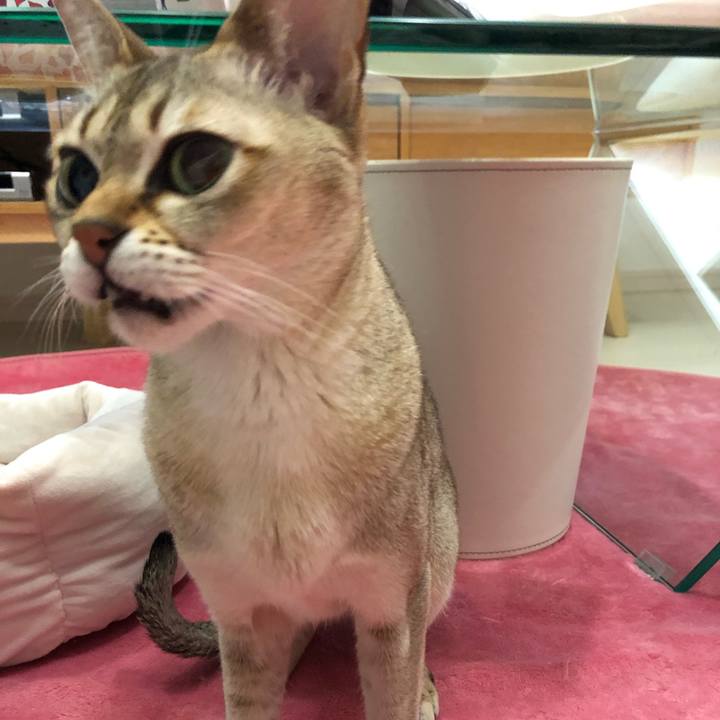 F961157b 3b7f 4e45 b486 36c84249caf5 1548409638884