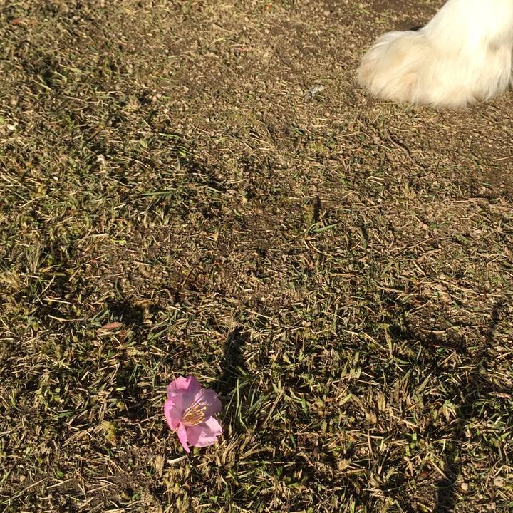 F9611bd2 8105 48ac a520 a2946611a48e 1584658974202