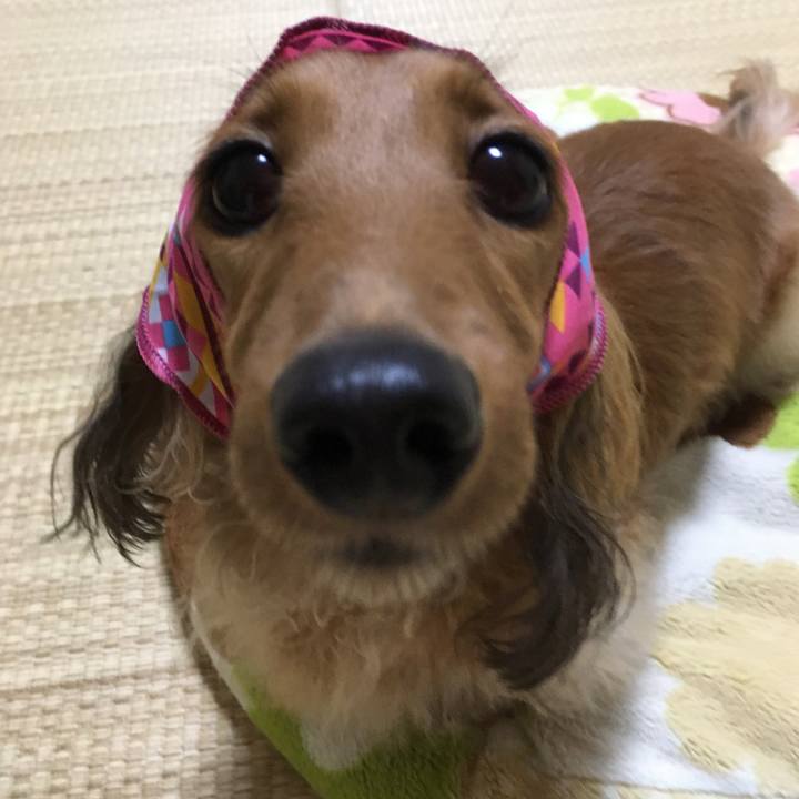 F961269e 4c9b 4d00 b8f0 98ab302ab7c1 1508582371765