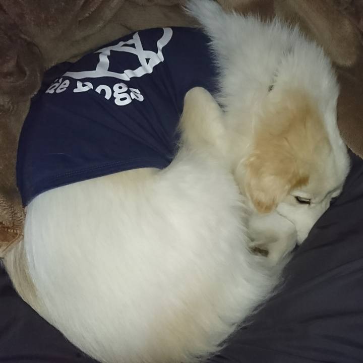 F9613f5e 5b3d 451c 8ce5 9a03df138612 1511905865120