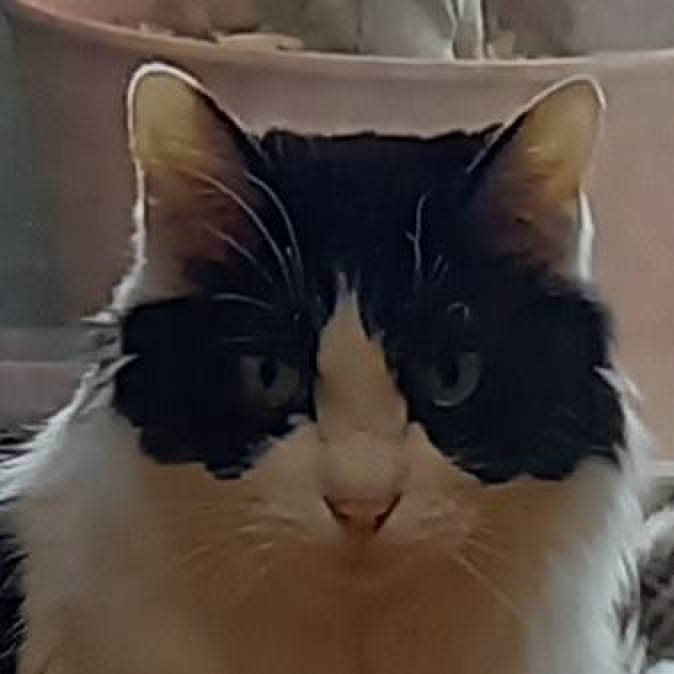 F96170d6 62e2 4cfc 99be da4de38631dc 1685794008850