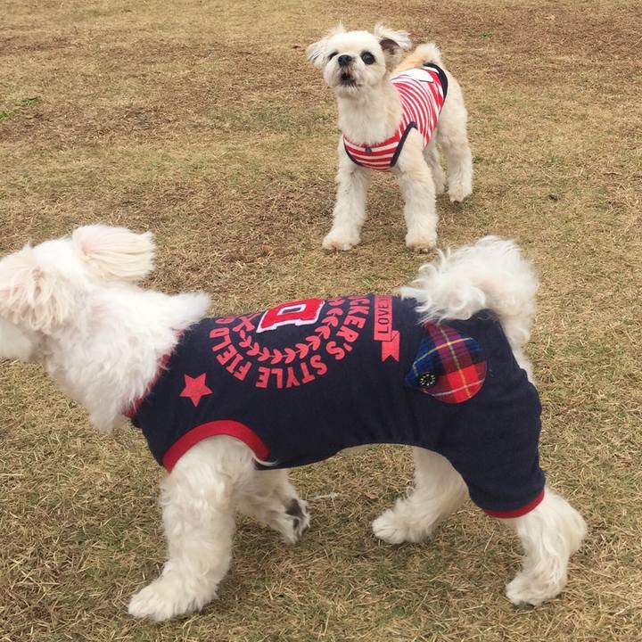 F9617b44 ba5e 4ded bb54 89e68ddd2f44 1543315924862