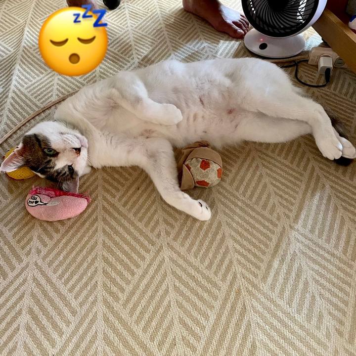 F961dc90 2314 4046 9146 92c1e6743879 1659915473761