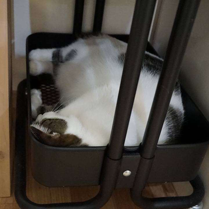 F961f64e b1b5 4084 a5c2 f630d51279f5 1565220307201