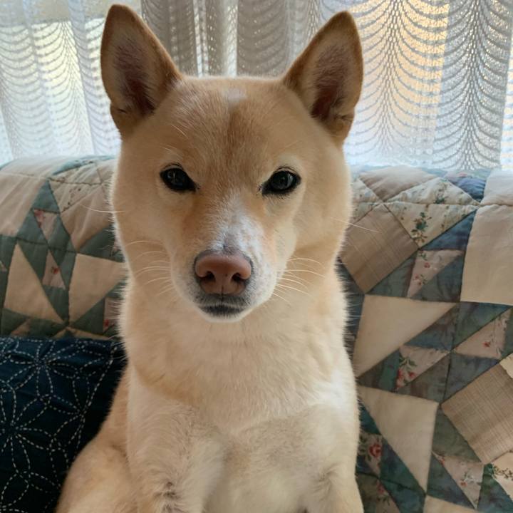 F9620601 d782 4192 9a10 11e29c36fd67 1638658162212