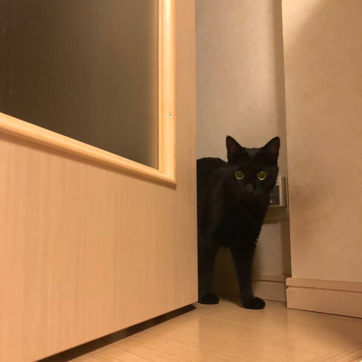 F9620998 6c9c 4e31 bb87 8e1bc4d9f686 1539519077121