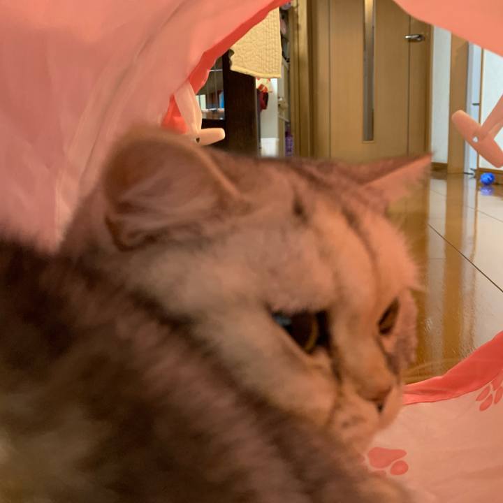 F9620e0f a9d4 4159 93a8 eeb5f116a963 1707134500141