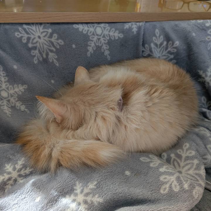 F9621070 8733 48d3 9b6e 39753e0452cb 1739095116324