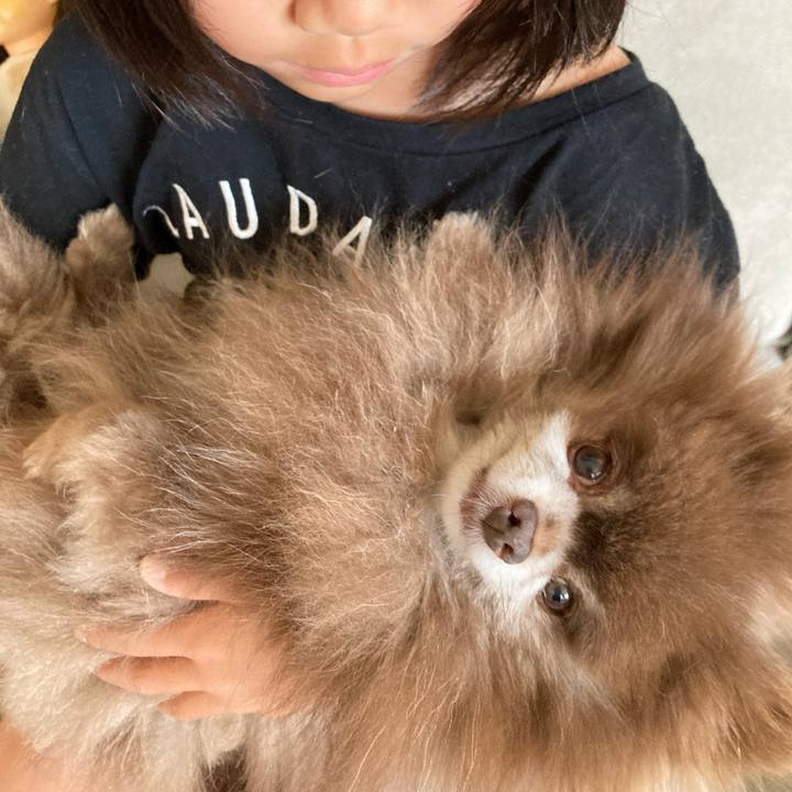 F96217d7 ff60 4a07 b61d 78881ac595fb 1716678913031