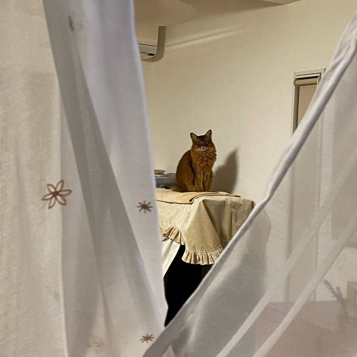 F962222e e507 411b abc5 714e71286eaf 1642815786519