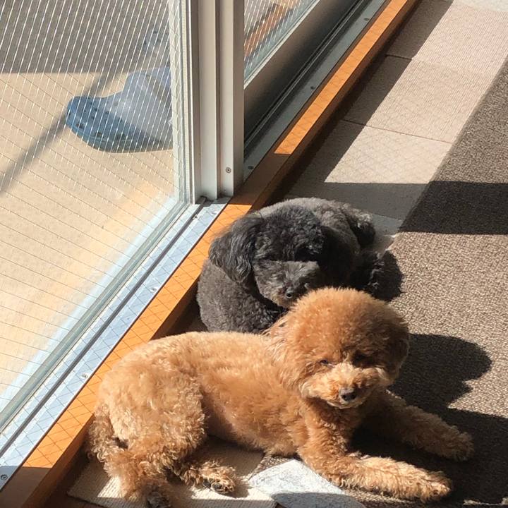 F96228e7 eff7 426f 9702 a7a02a4f8d88 1603767026489