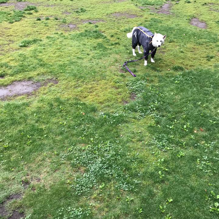 F9623872 c962 495f 8bb8 40f95903814e 1529462068299