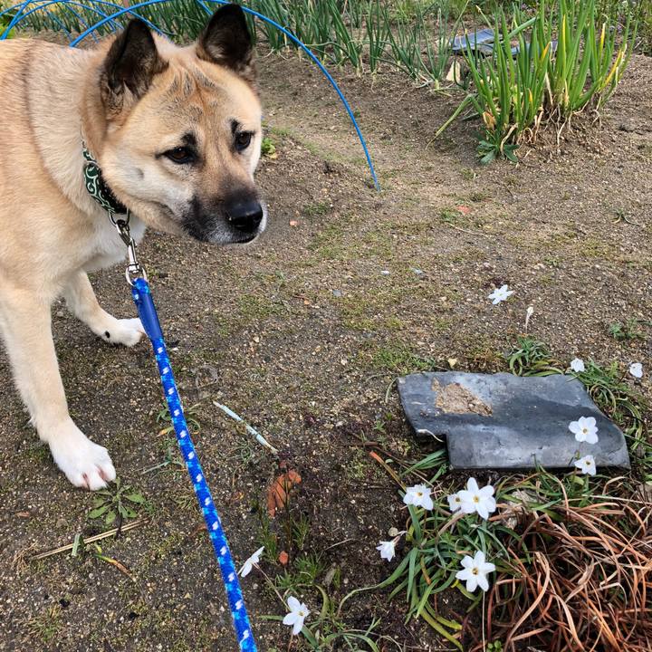 F962444d 0d84 4e59 b712 a46a57b2d7f3 1552908120165