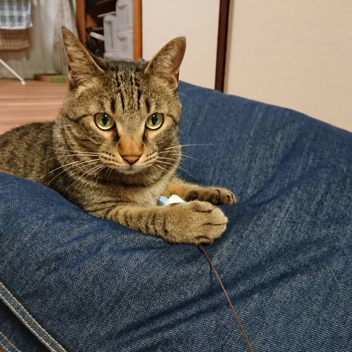 F962963a e1ba 41b9 a9e1 d563009b787d 1563277216075