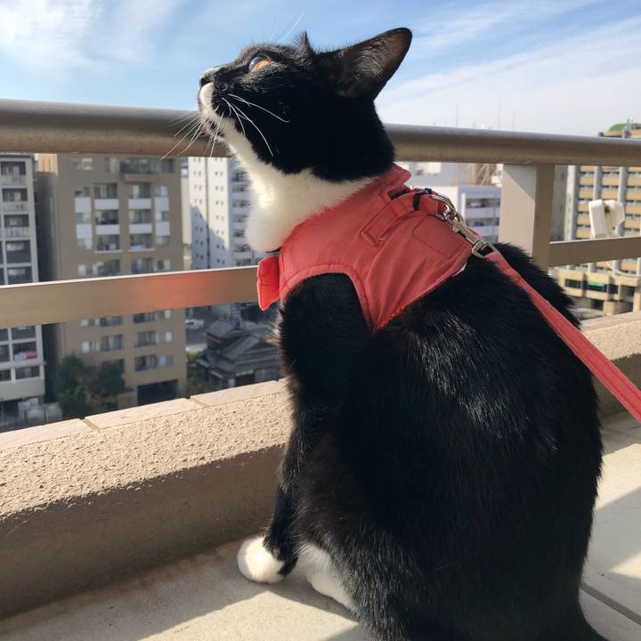 F9629663 4899 4cb4 96ee 3a1c3aa229fd 1512275332238