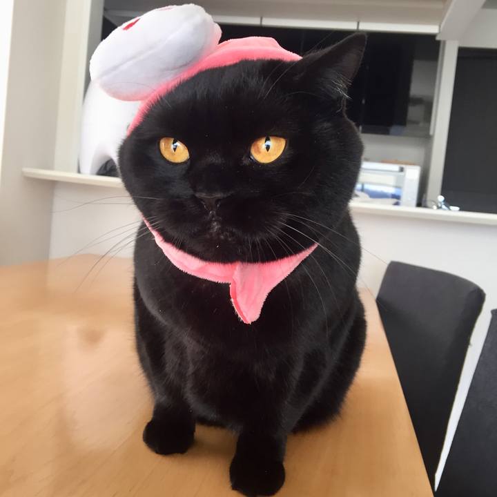 F962a82c 7660 43fa a32e 285f5fc87895 1580698425740