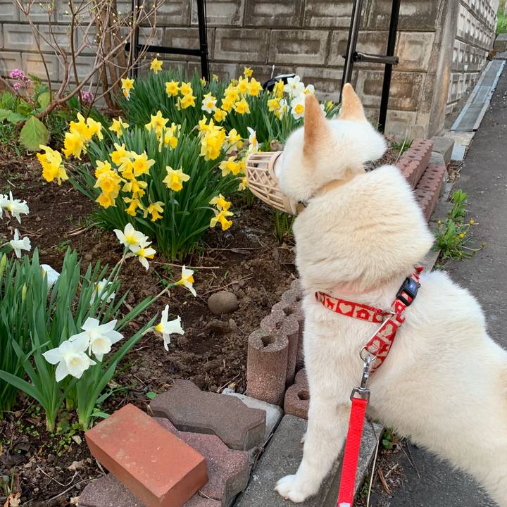 F962ac42 ce52 4389 9718 6c373a458271 1557472665672