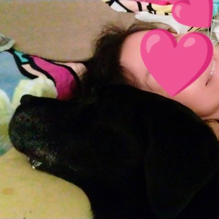 F962c65b 6b91 416e 948d 08ff40a9274f 1724398419061