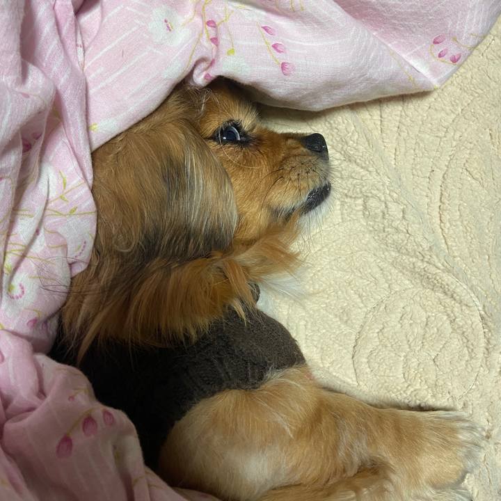 F962ce94 f4ff 424a 9090 f95f991430fa 1674425684472