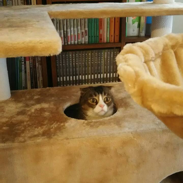 F9634100 3c75 4e12 9d46 74b1c2e6ae61 1555807208459