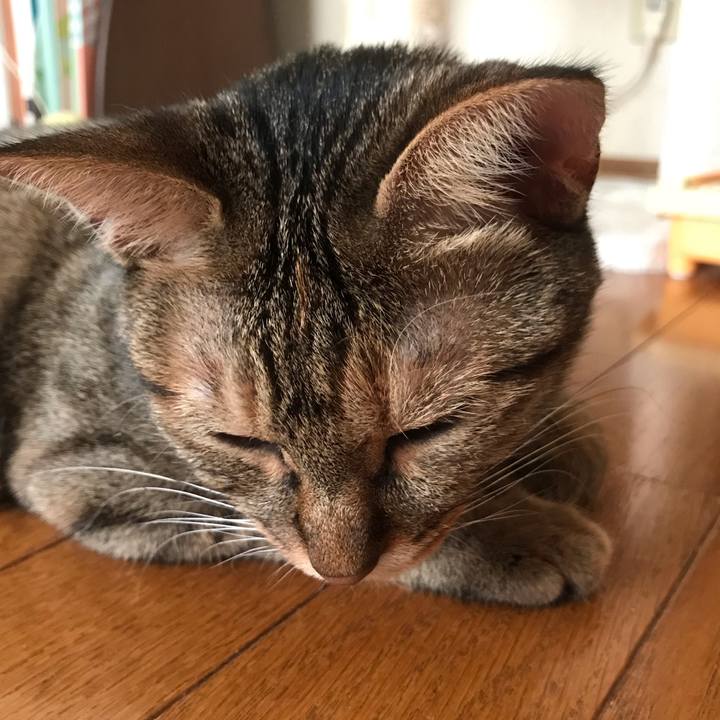 F963c54a 6d03 4c99 8f86 941196377d1f 1598316445479