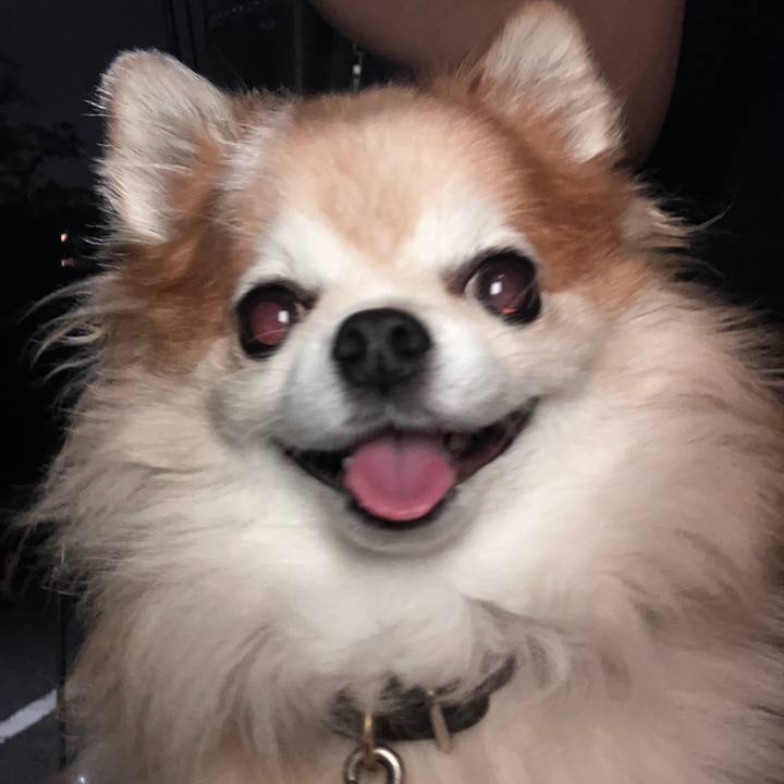 F963db46 a5b3 4b9a ab3a d4a19159743a 1759760634270